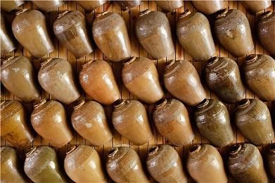 舅舅党爆料：《怪猎物语2》将有新DLC 《怪猎崛起》更新无实质性内容